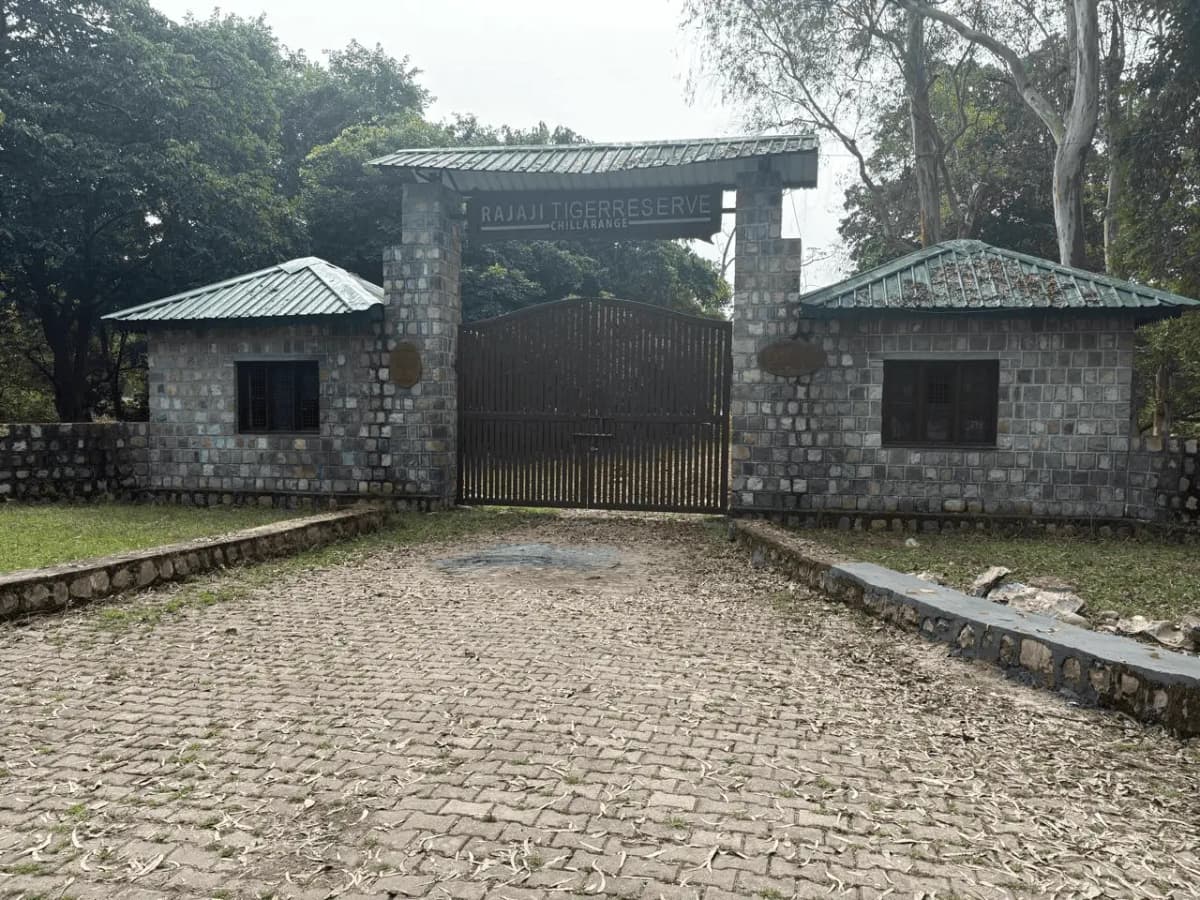 Safari Gates